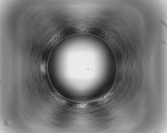 X0000097290090200802221322