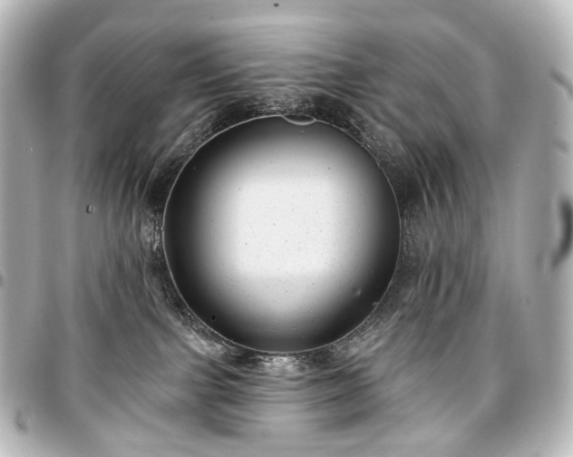 X0000097290091200802221322