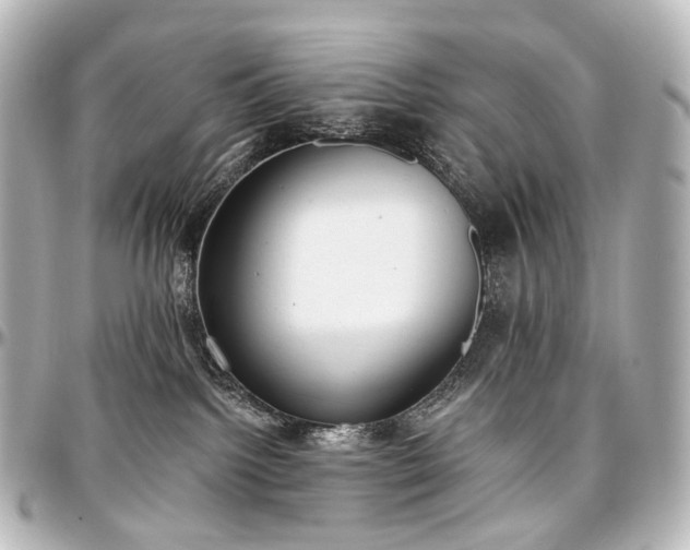 X0000097290092200802221322