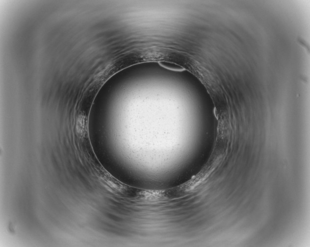 X0000097290093200802221322