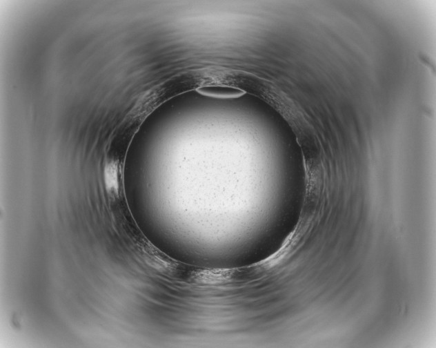 X0000097290094200802221322