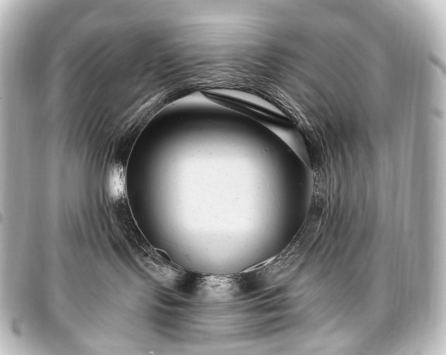 X0000097290095200802221322