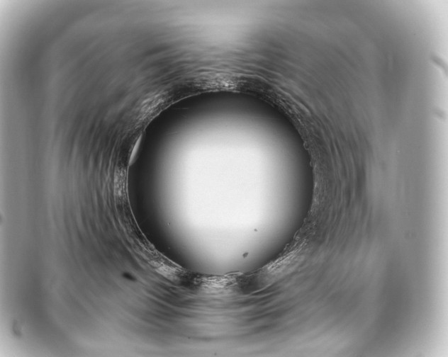 X0000097290096200802221322