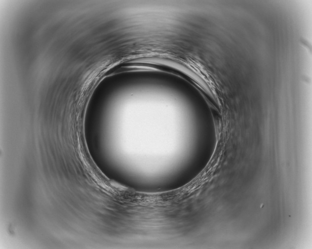 X0000097290097200802221321