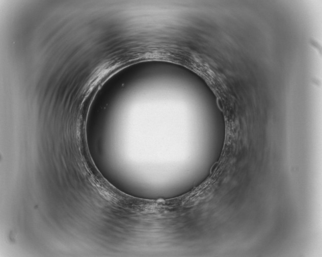 X0000097290098200802221321