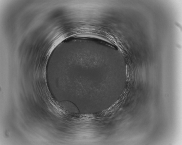 X0000097290099200802221321