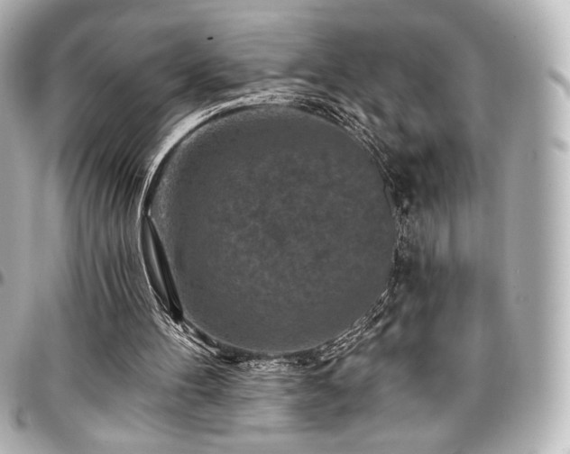 X0000097290100200802221321