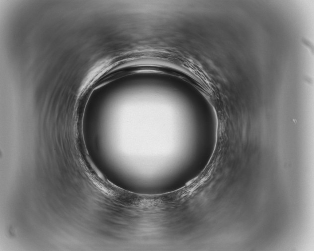X0000097290101200802221321