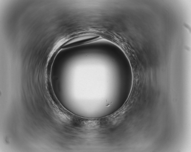 X0000097290102200802221321