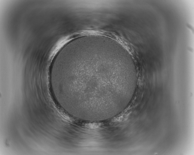 X0000097290103200802221321