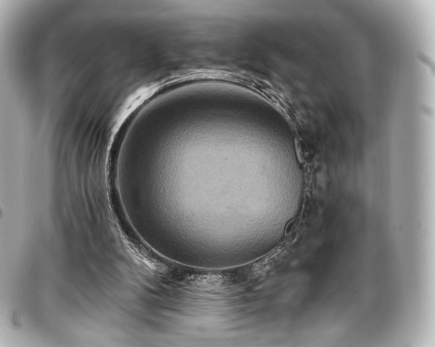 X0000097290104200802221321