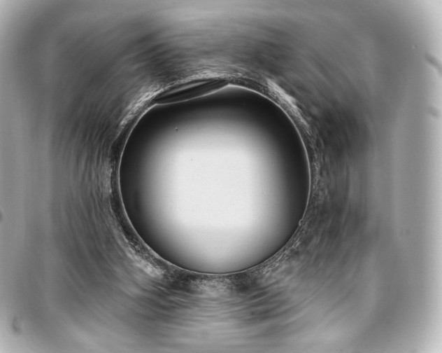 X0000097290106200802221321
