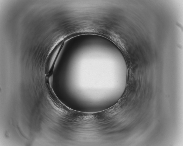 X0000097290108200802221321