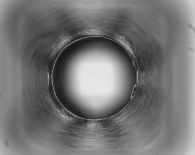 X0000097290109200802221321