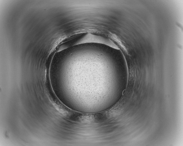 X0000097290110200802221321