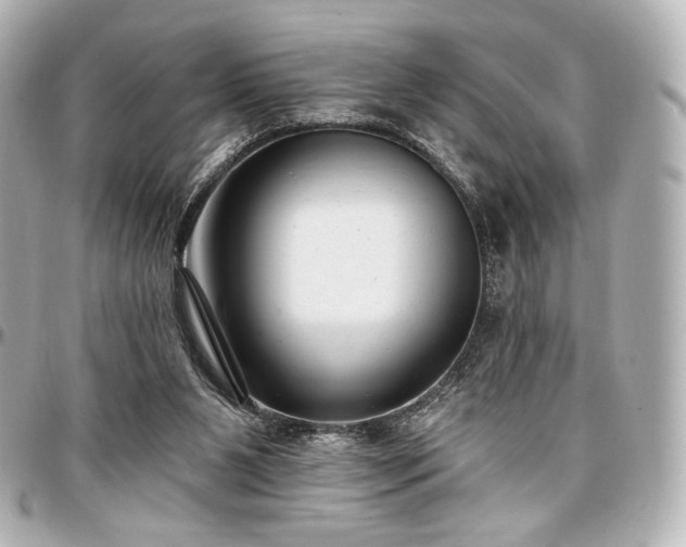 X0000097290111200802221321