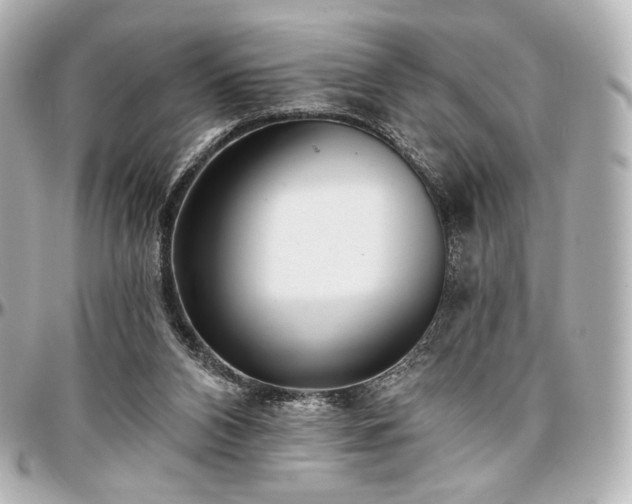 X0000097290112200802221321