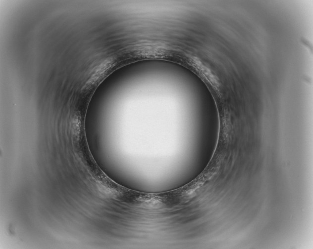 X0000097290113200802221321