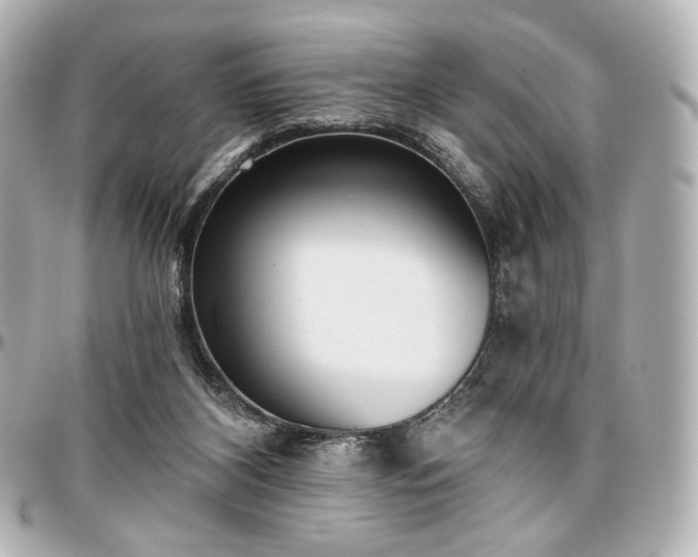 X0000097290116200802221321