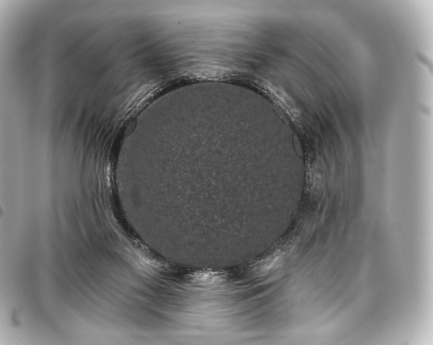 X0000097290117200802221321