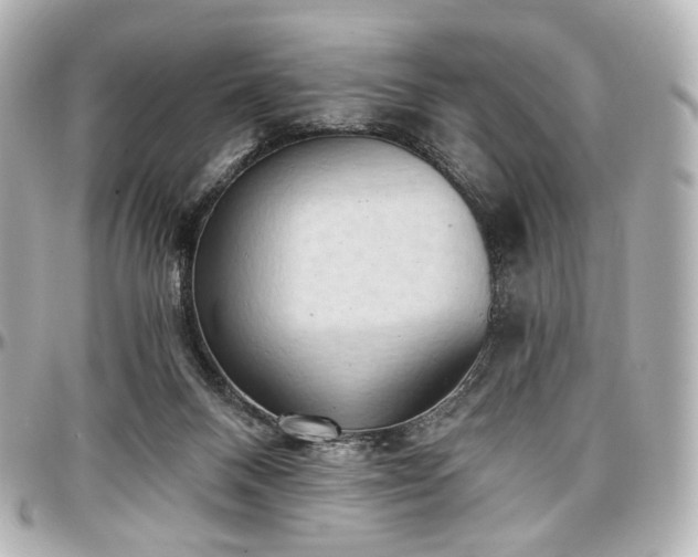 X0000097290120200802221321