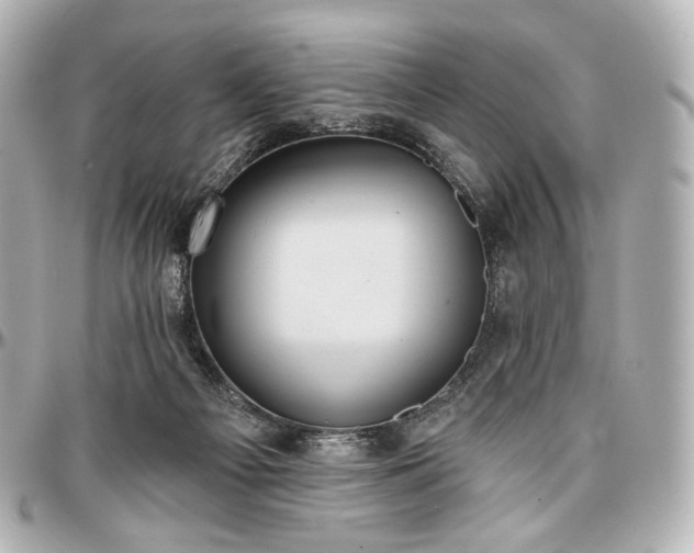 X0000097290121200802221321
