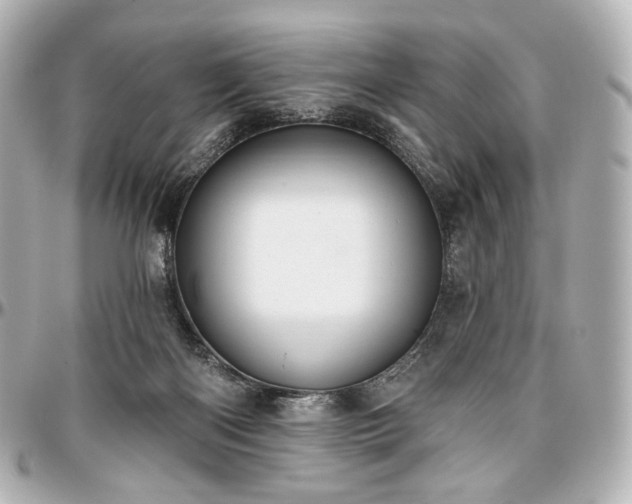 X0000097290122200802221321