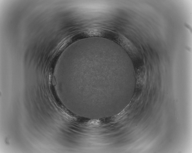 X0000097290124200802221321