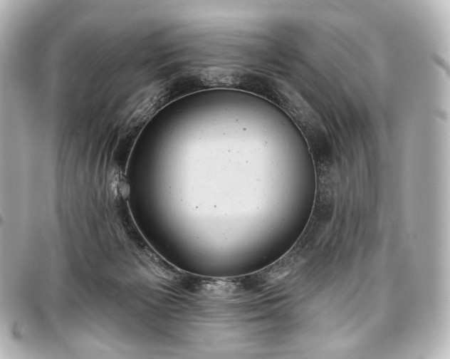 X0000097290125200802221321