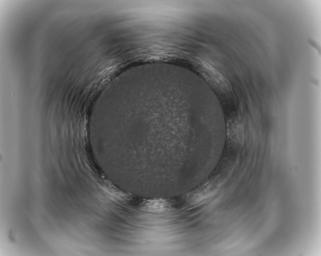 X0000097290127200802221321