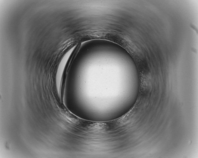 X0000097290128200802221320