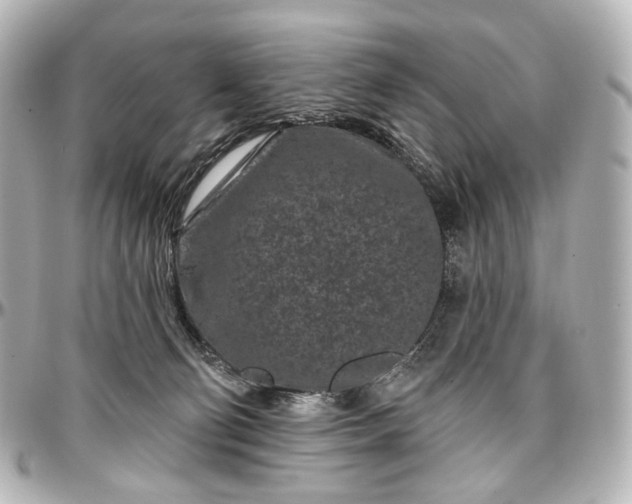 X0000097290130200802221320