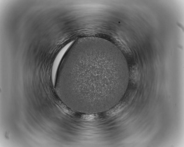X0000097290131200802221320