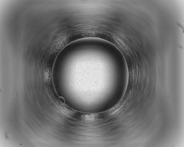 X0000097290134200802221320