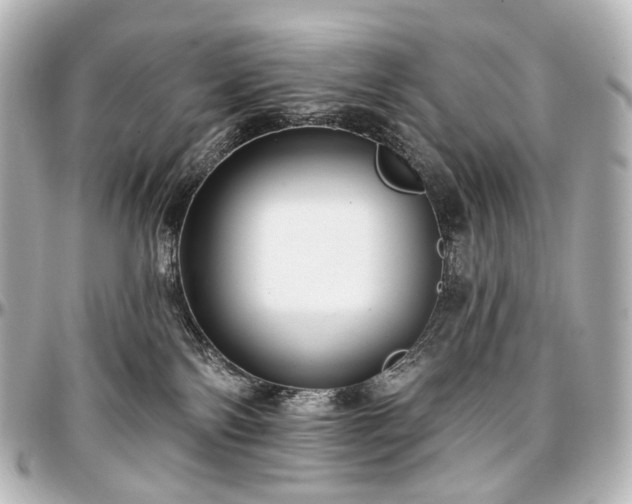 X0000097290138200802221320