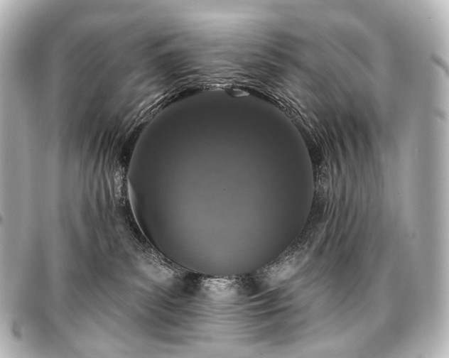 X0000097290139200802221320