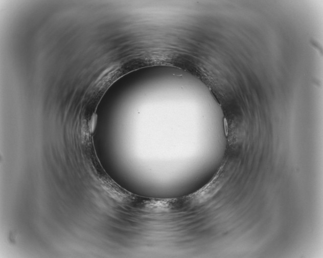 X0000097290140200802221320