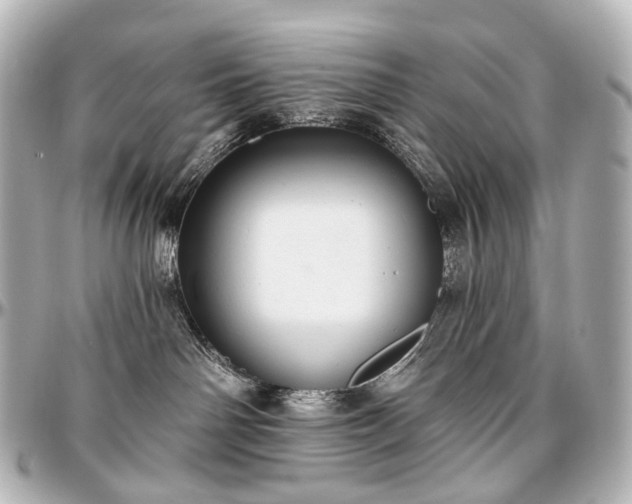 X0000097290142200802221320