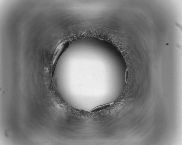 X0000097290144200802221320