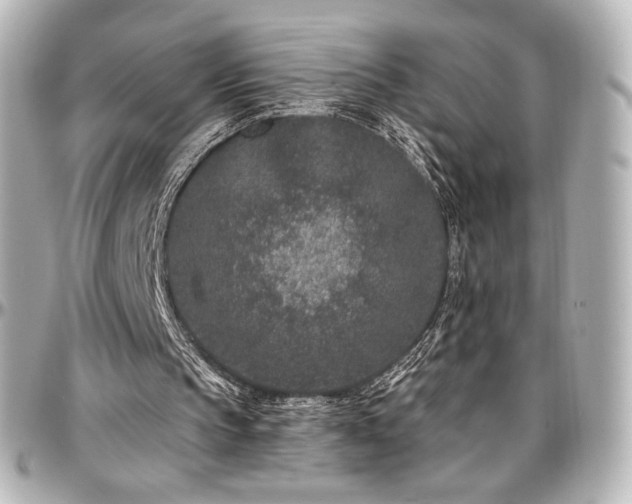 X0000097290145200802221320