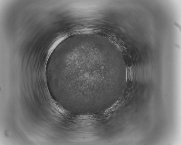 X0000097290147200802221320