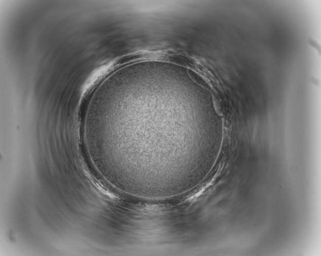 X0000097290149200802221320