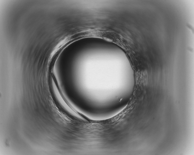 X0000097290150200802221320