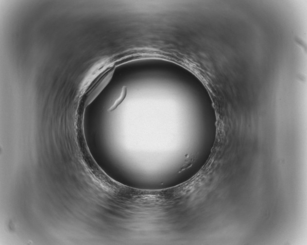 X0000097290151200802221320