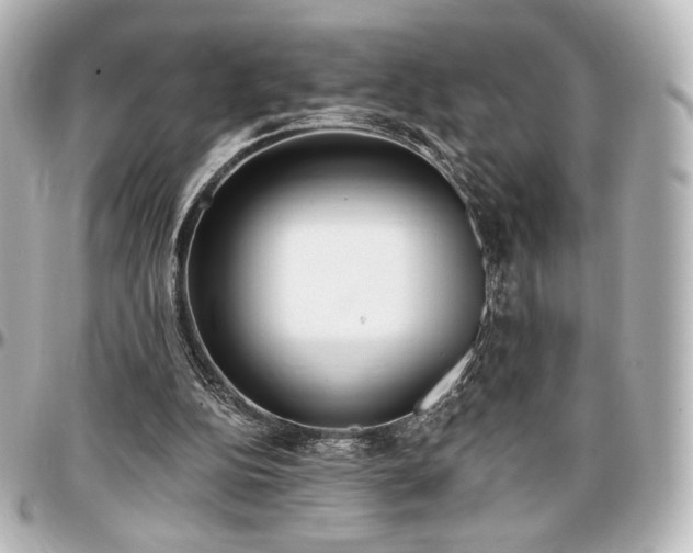 X0000097290152200802221320
