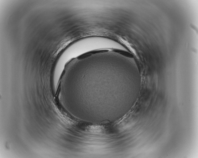 X0000097290154200802221320