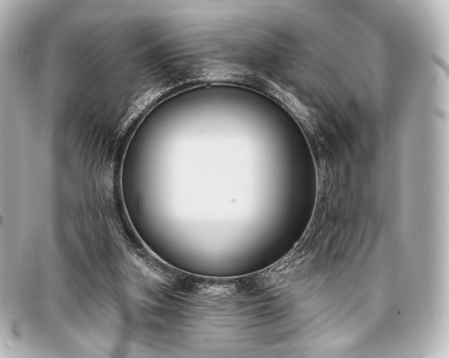 X0000097290155200802221320