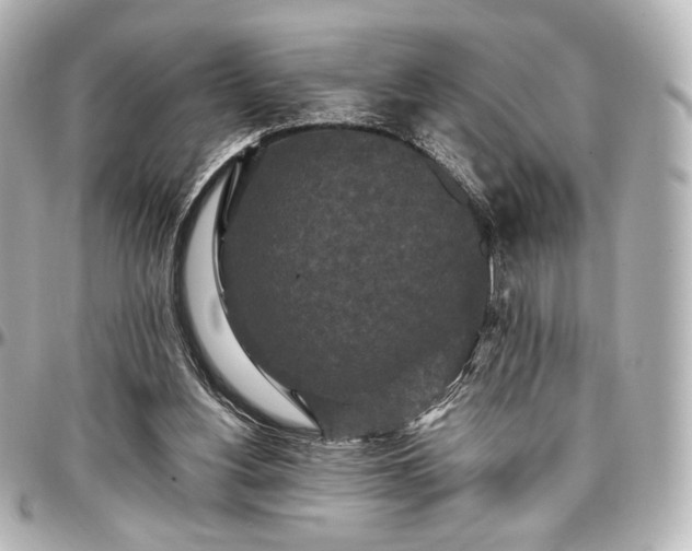 X0000097290156200802221320