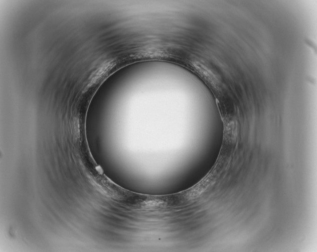X0000097290158200802221320