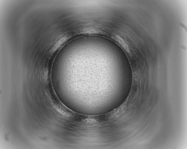 X0000097290159200802221320